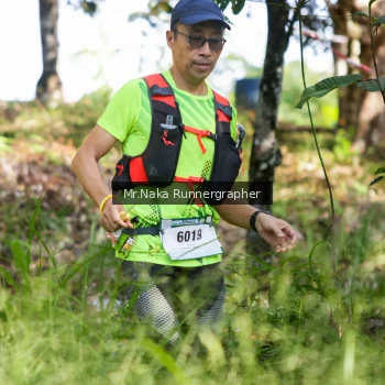 Runner Photo 11061
