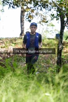 Runner Photo 11075