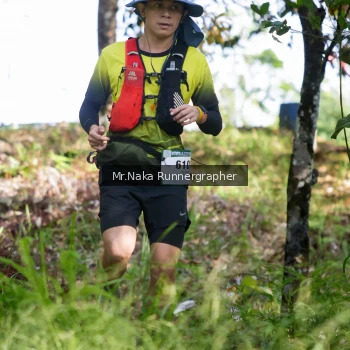 Runner Photo 11079