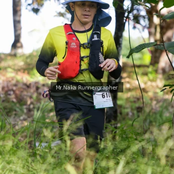 Runner Photo 11080