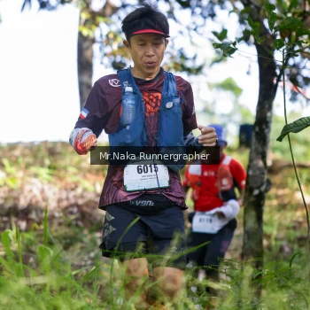 Runner Photo 11088