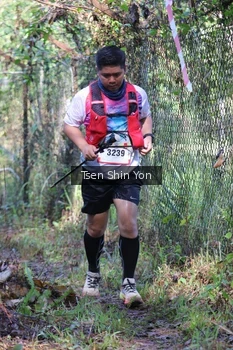 Runner Photo 1109038