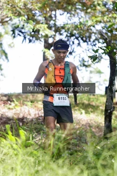 Runner Photo 11134