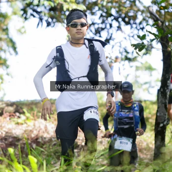 Runner Photo 11141