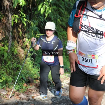 Runner Photo 1117184