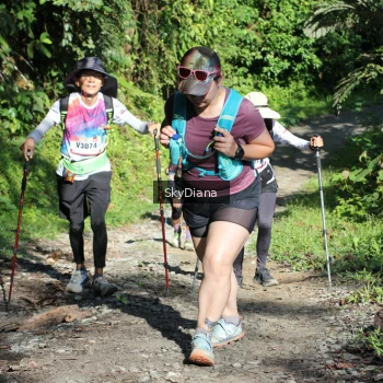 Runner Photo 1117976
