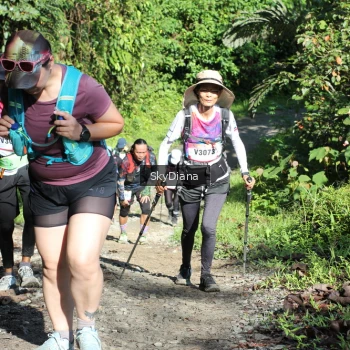 Runner Photo 1117977