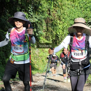 Runner Photo 1117982