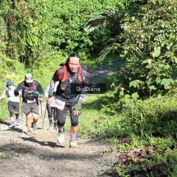Runner Photo 1117985