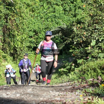 Runner Photo 1118118