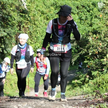 Runner Photo 1118129