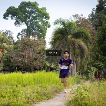 Runner Photo 1130226