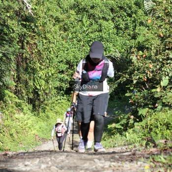 Runner Photo 1131577
