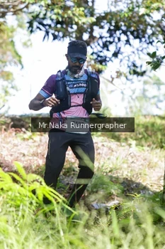 Runner Photo 11597