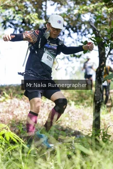 Runner Photo 11608