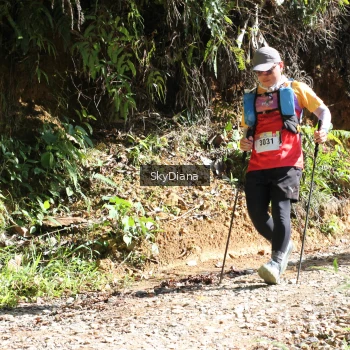 Runner Photo 1161070