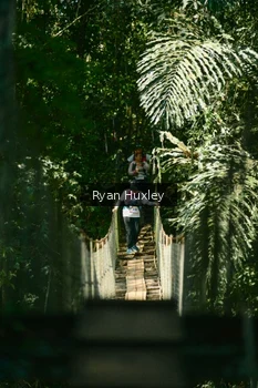 Runner Photo 1161113