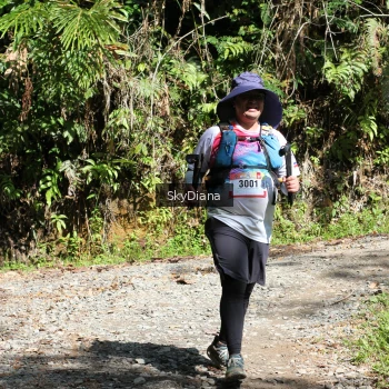 Runner Photo 1161117