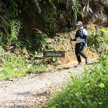 Runner Photo 1161124