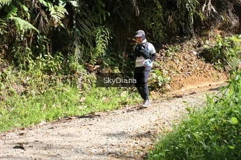 Runner Photo 1161129