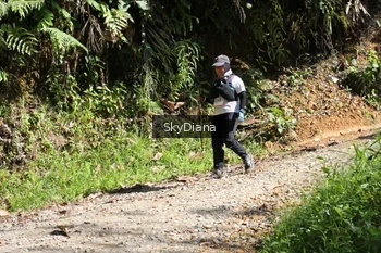 Runner Photo 1161144