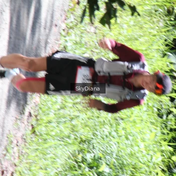 Runner Photo 1161180