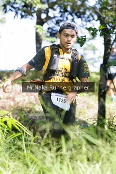 Runner Photo 11612
