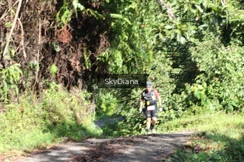 Runner Photo 1161233