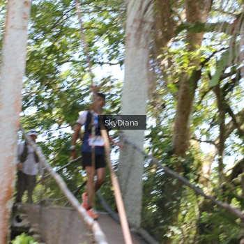 Runner Photo 1161721