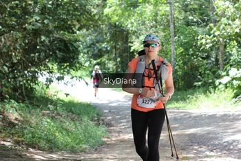 Runner Photo 1161790