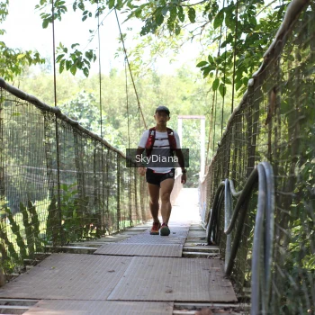 Runner Photo 1161868