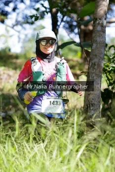 Runner Photo 11638