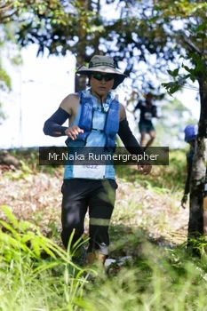 Runner Photo 11658