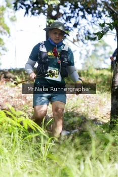 Runner Photo 11662