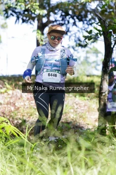 Runner Photo 11683