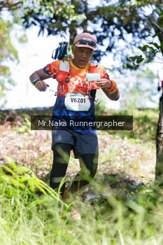 Runner Photo 11689