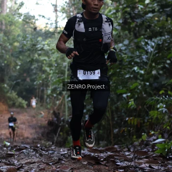 Runner Photo 1169204