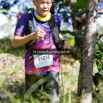 Runner Photo 11704