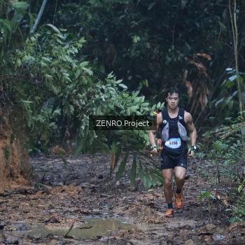 Runner Photo 1171171