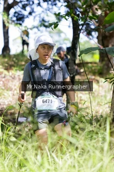 Runner Photo 11719
