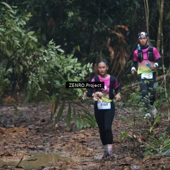 Runner Photo 1172089