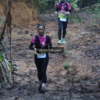 Runner Photo 1172157