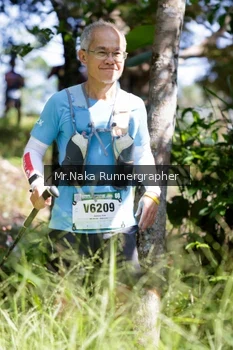 Runner Photo 11725
