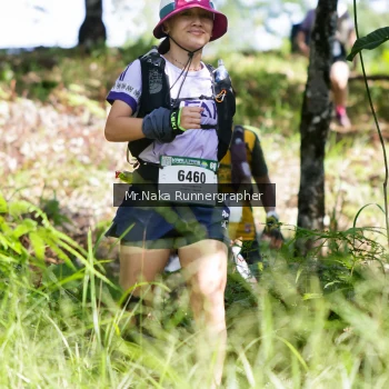 Runner Photo 11736