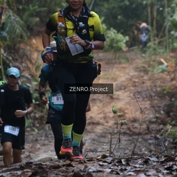Runner Photo 1175449
