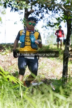 Runner Photo 11755