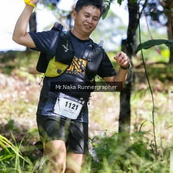 Runner Photo 11769