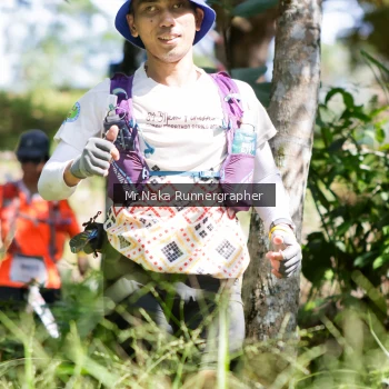 Runner Photo 11772