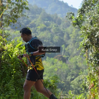 Runner Photo 1179119