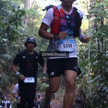 Runner Photo 1179425